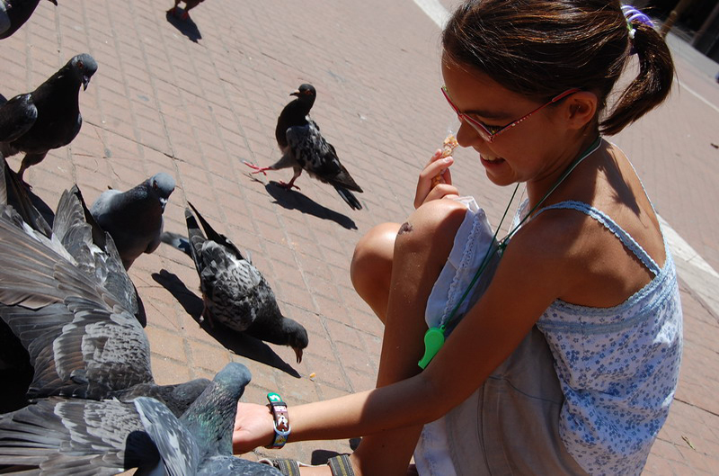 5. B.Aires San Telmo, Palermo 005