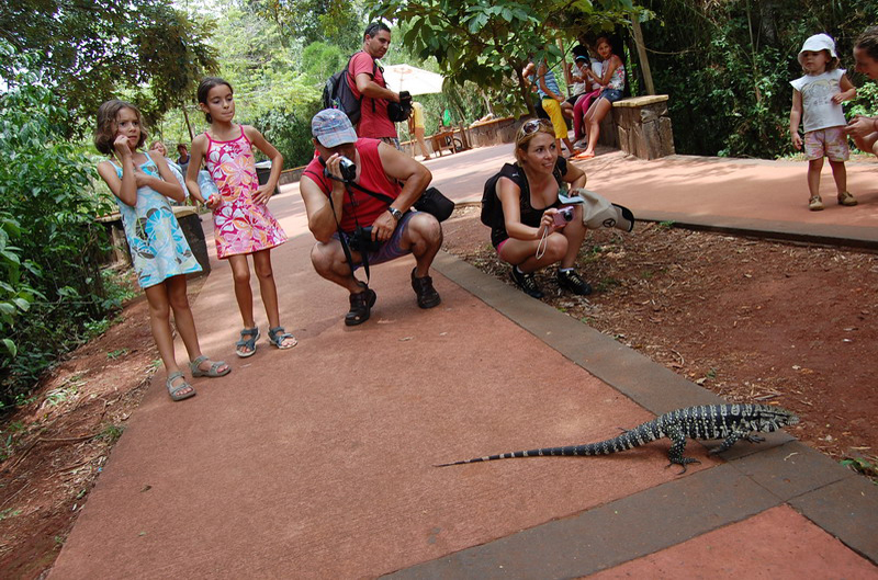 011209 Iguazú Argentina 8x6 017
