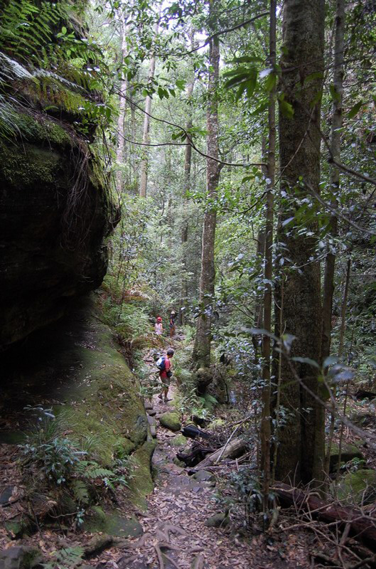 022509 Blue Mounts Canyon Pass 013
