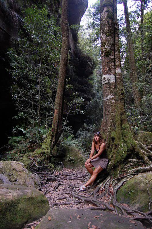 022509 Blue Mounts Canyon Pass 018