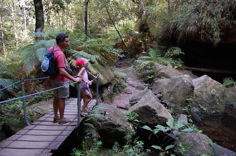 022509 Blue Mounts Canyon Pass 019