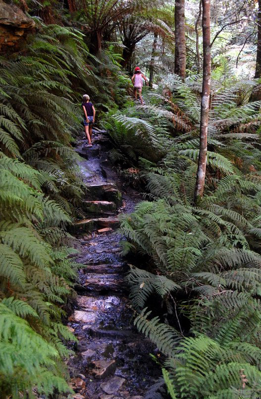 022509 Blue Mounts Canyon Pass 022