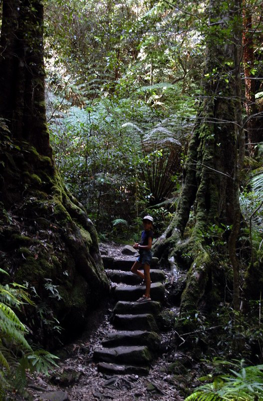 022509 Blue Mounts Canyon Pass 023