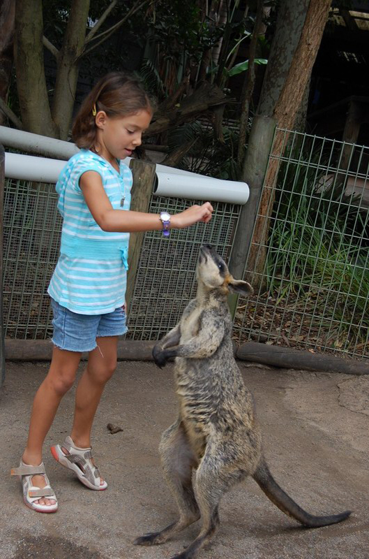 022209 Blue Mounts Featherdale Park 8x6 010