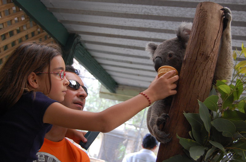 022209 Blue Mounts Featherdale Park 8x6 016