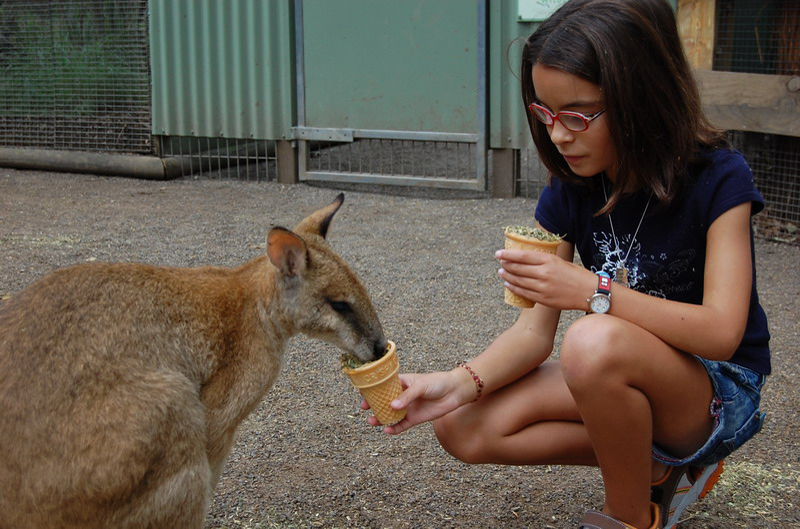 022209 Blue Mounts Featherdale Park 8x6 021