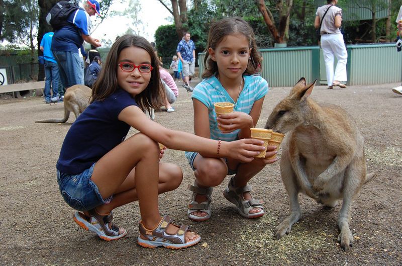 022209 Blue Mounts Featherdale Park 8x6 022