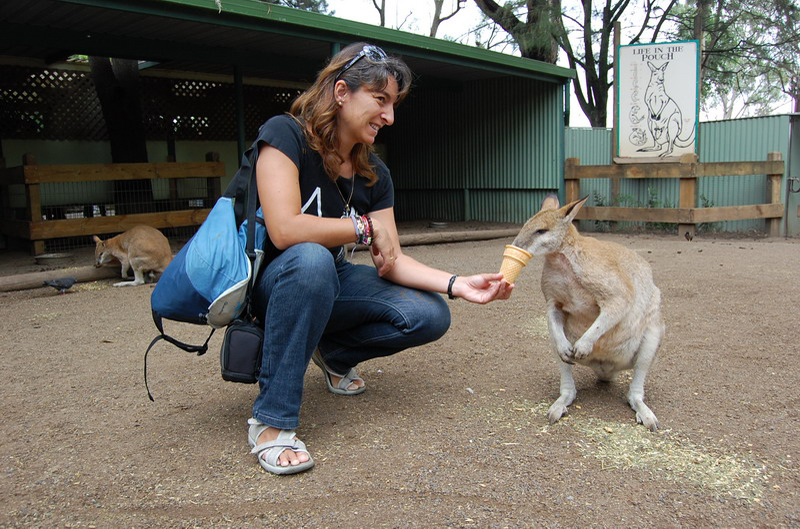 022209 Blue Mounts Featherdale Park 8x6 023