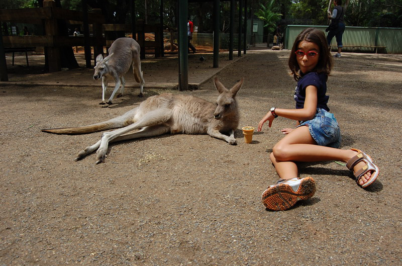 022209 Blue Mounts Featherdale Park 8x6 024