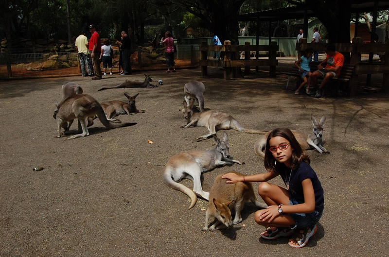 022209 Blue Mounts Featherdale Park 8x6 026