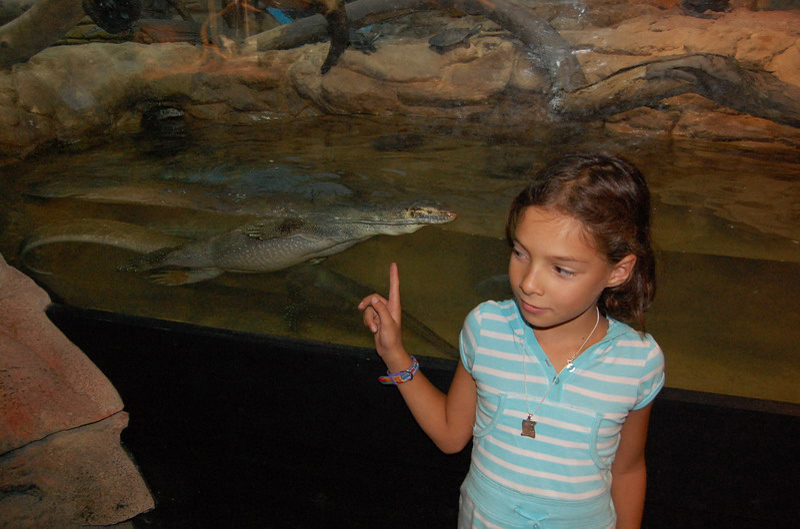 022209 Blue Mounts Featherdale Park 8x6 043