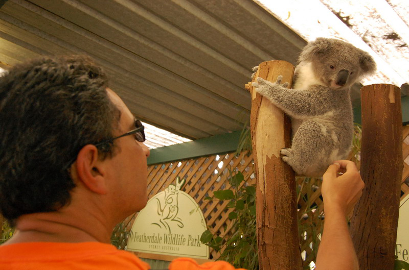 022209 Blue Mounts Featherdale Park 8x6 066