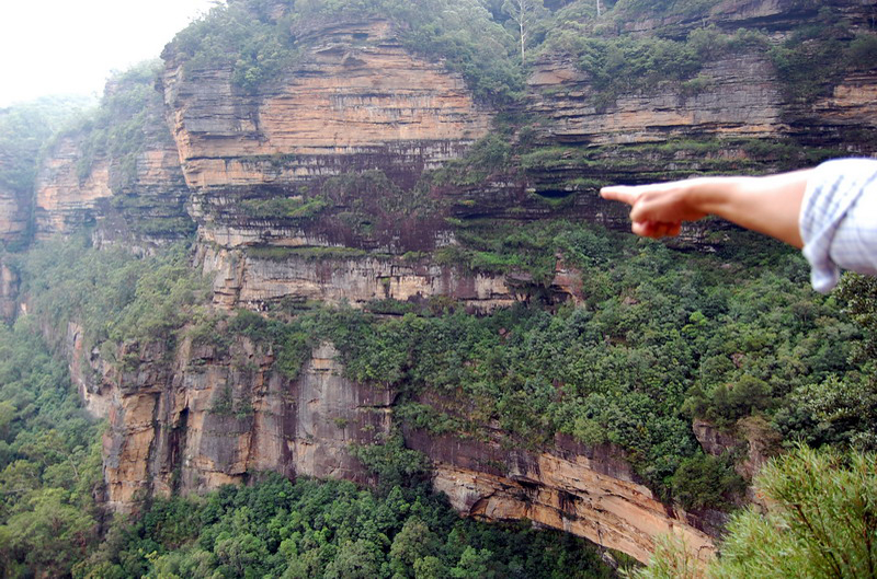 022009 Blue Mountains Wenworth falls 8x6 010