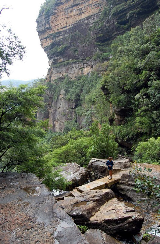 022009 Blue Mountains Wenworth falls 8x6 013