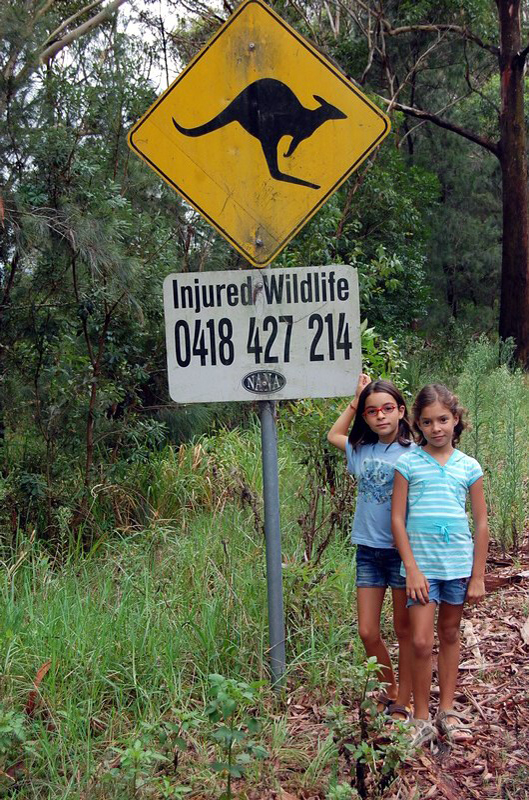 030209 Pacific Drive a Cairns 004