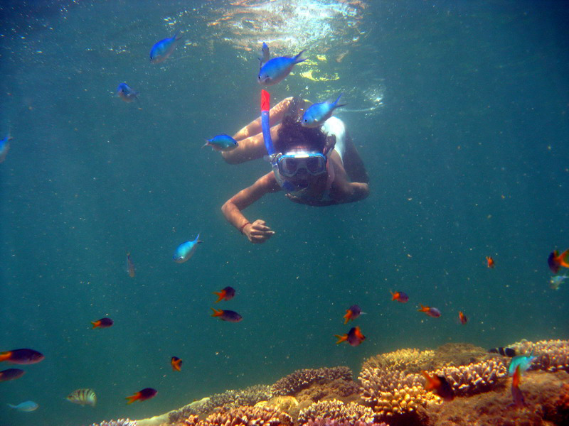 030509 Cairns Fitzroy Island 103