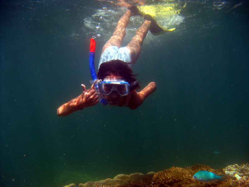 030509 Cairns Fitzroy Island 104