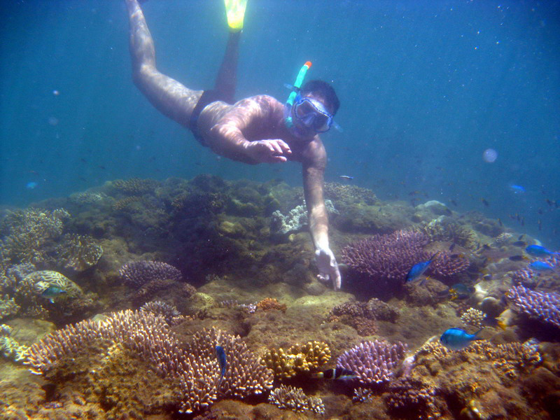 030509 Cairns Fitzroy Island 108