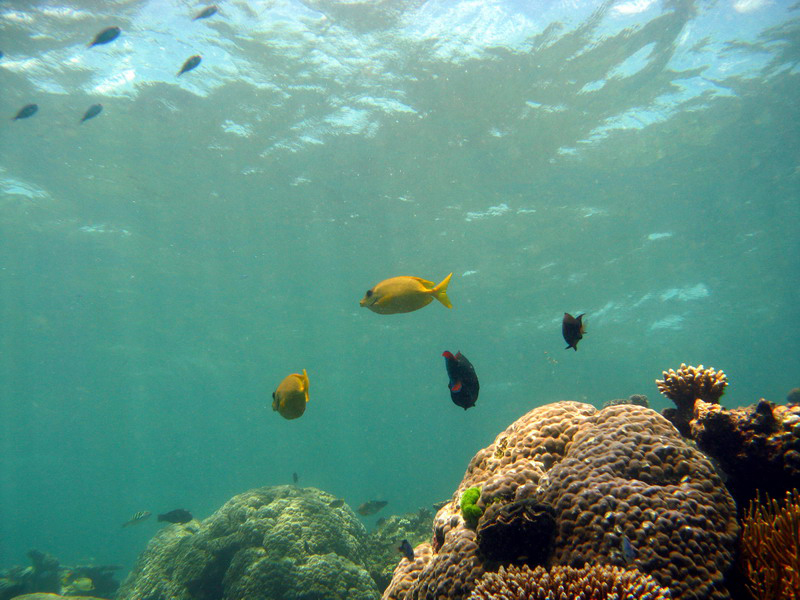 031209 Gran Barrera 1 028