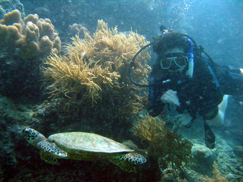 031309 Gran Barrera 2 8x6 027