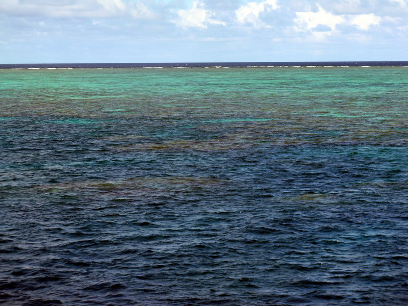 031309 Gran Barrera 2 8x6 057