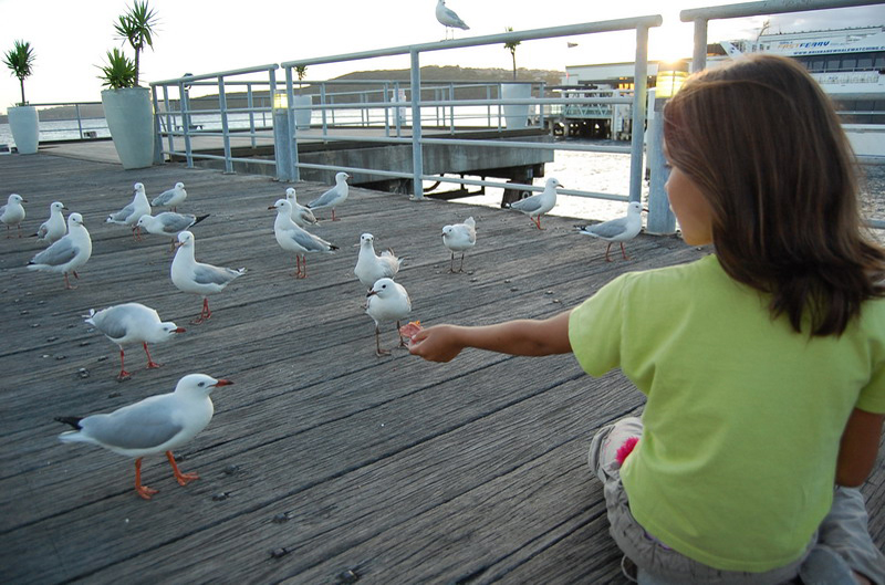021809 Sydney Opera y Manly 8x6 063