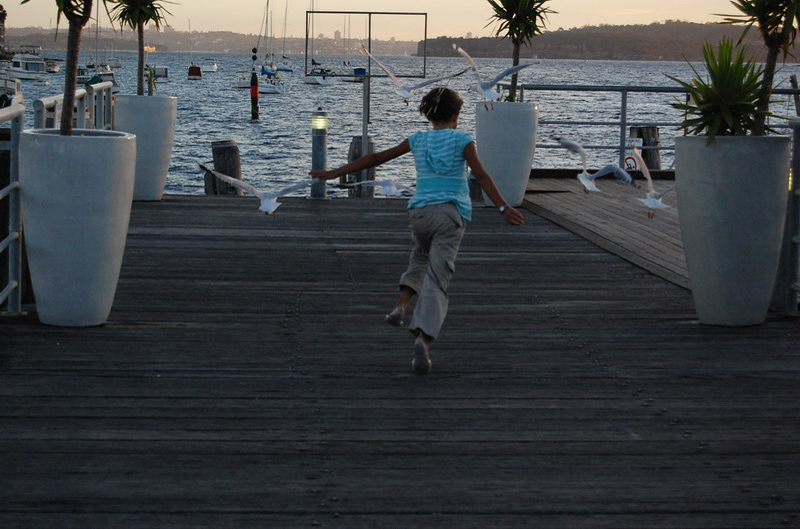 021809 Sydney Opera y Manly 8x6 065