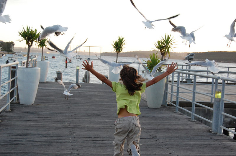 021809 Sydney Opera y Manly 8x6 066