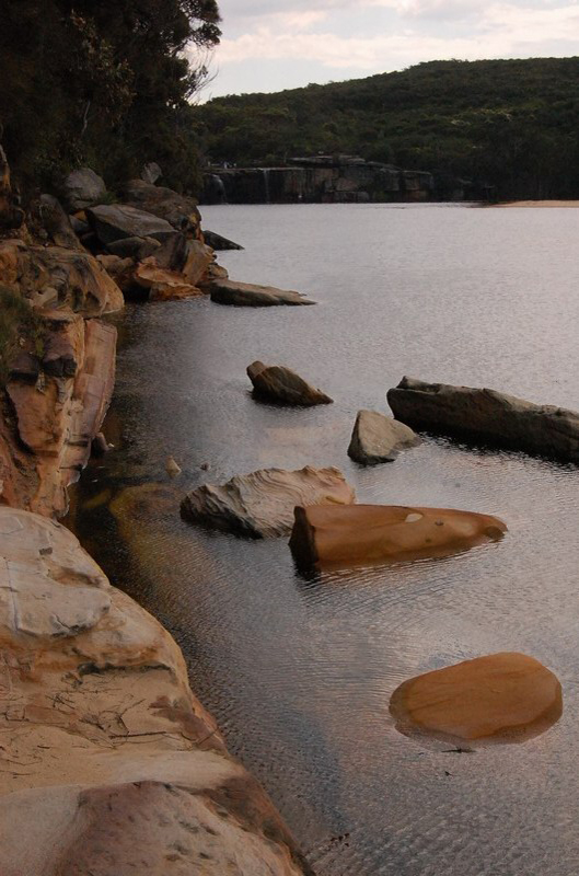 021909 Royal National Park 005