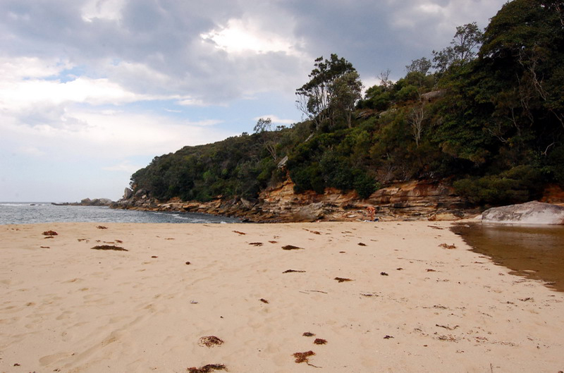021909 Royal National Park 006