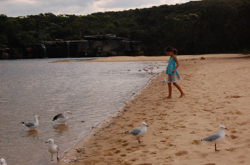 021909 Royal National Park 007
