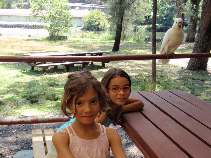 021909 Royal National Park 027