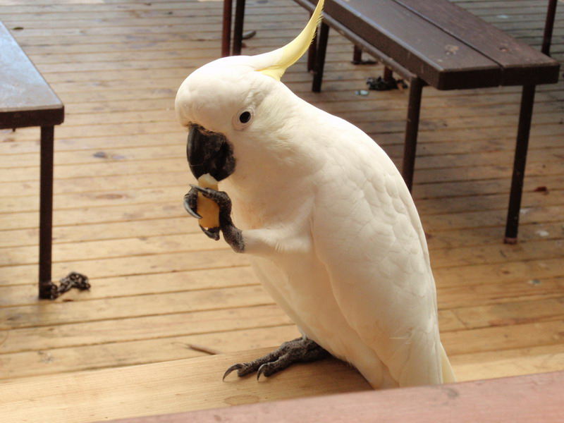 021909 Royal National Park 029