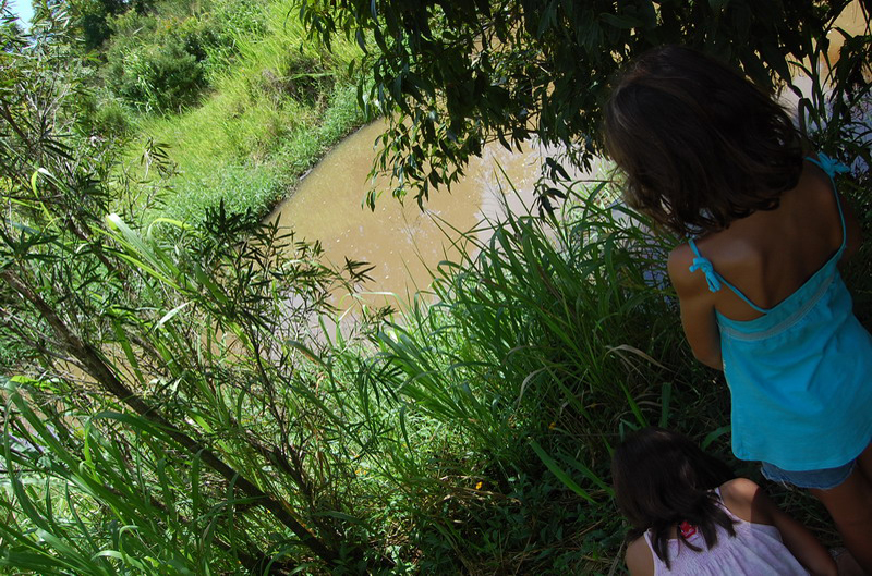 030809 Tablelands Falls Circuit 006