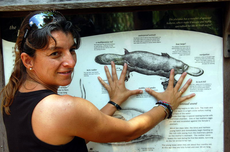 030809 Tablelands Falls Circuit 009