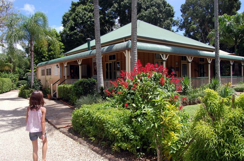 030809 Tablelands Falls Circuit 014