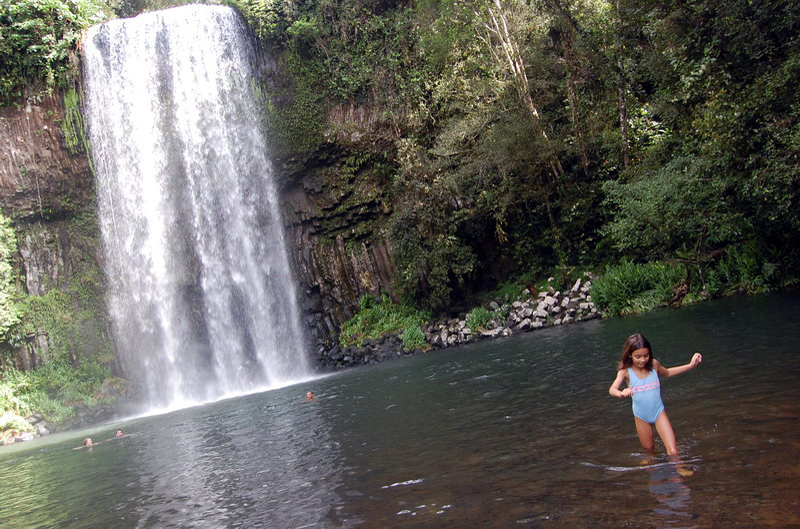 030809 Tablelands Falls Circuit 042