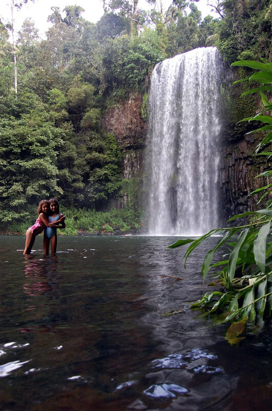 030809 Tablelands Falls Circuit 051