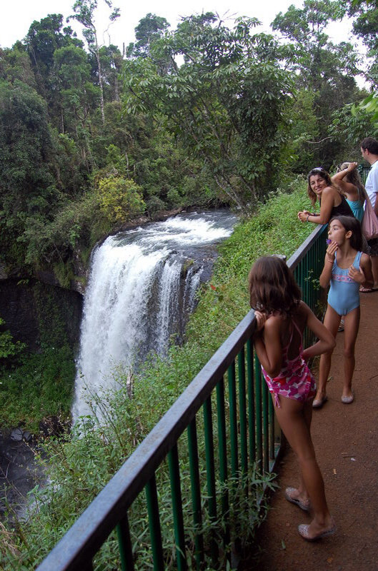 030809 Tablelands Falls Circuit 065