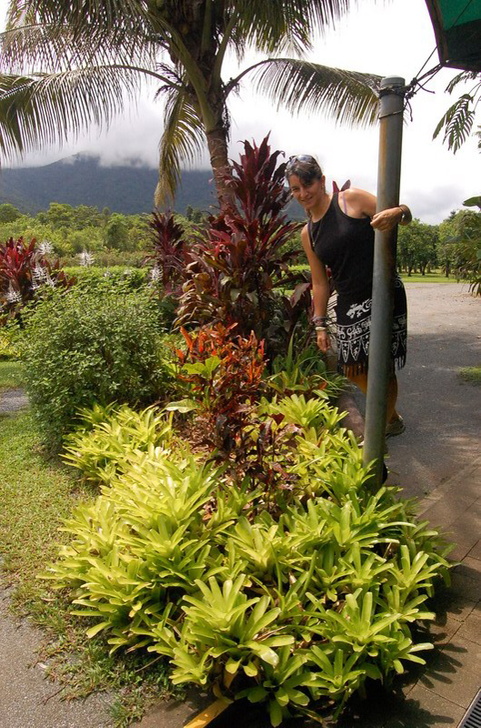 030909 Cape Tribulation 8x6 008