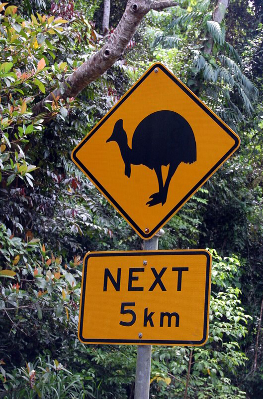 030909 Cape Tribulation 8x6 010