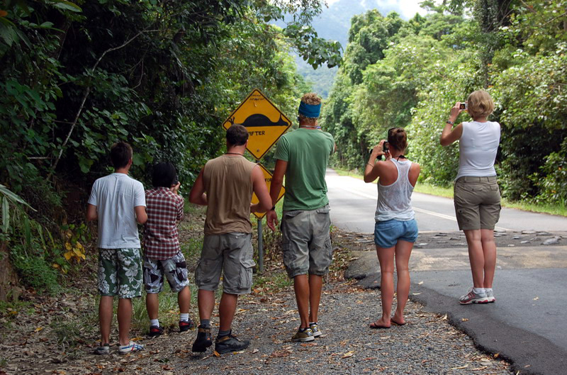 030909 Cape Tribulation 8x6 012