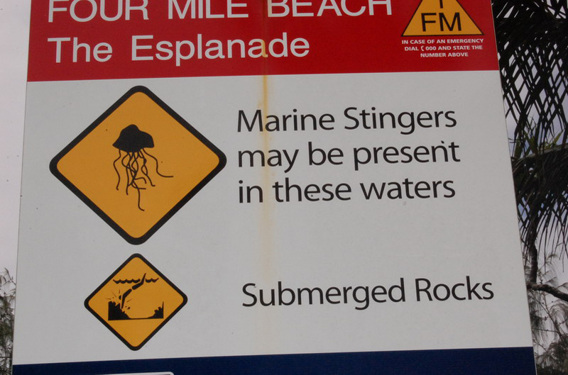 031009 Port Douglas 018