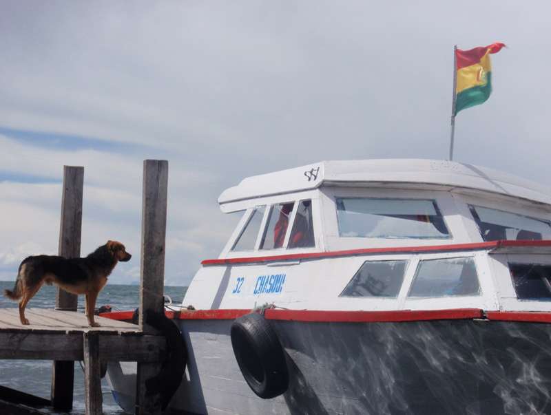 120208 Camino a La Paz 021