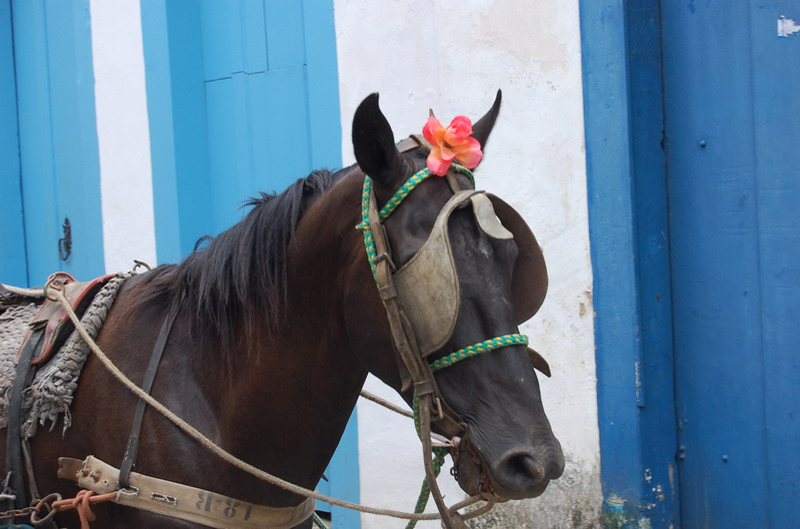 012109 Paraty pueblo y cataratas 8x6 016