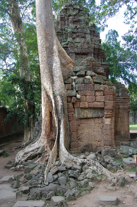 3 Angkor Wat 1399