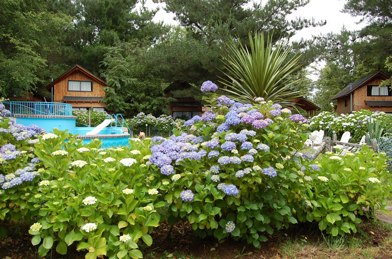 121508 Pucón 8X6 008