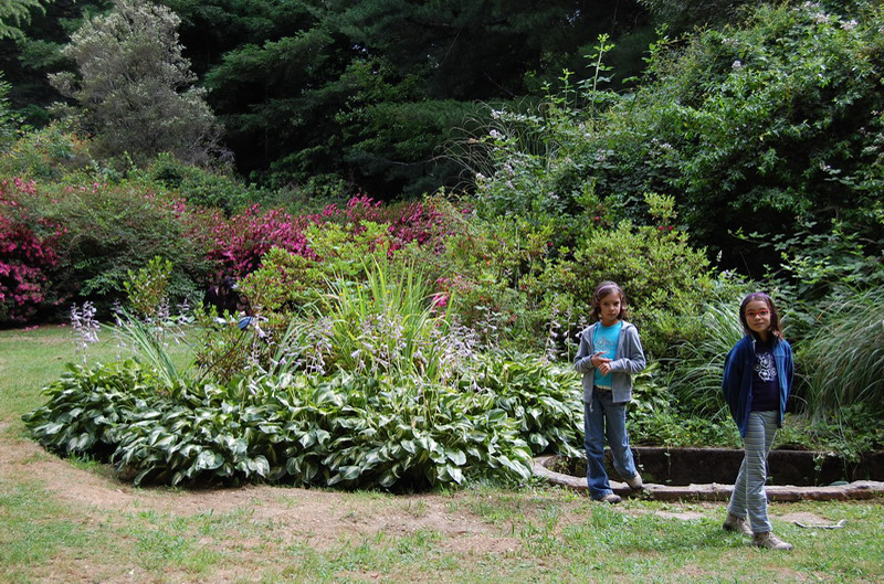 121608 Valdivia 8x6 001