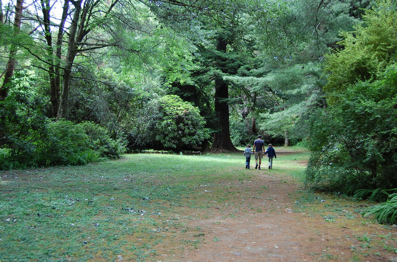 121608 Valdivia 8x6 004