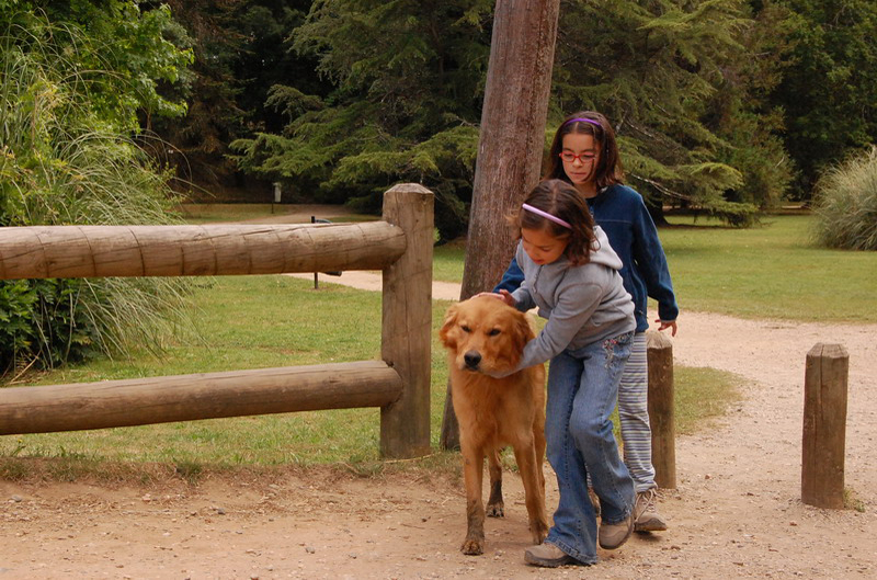 121608 Valdivia 8x6 017